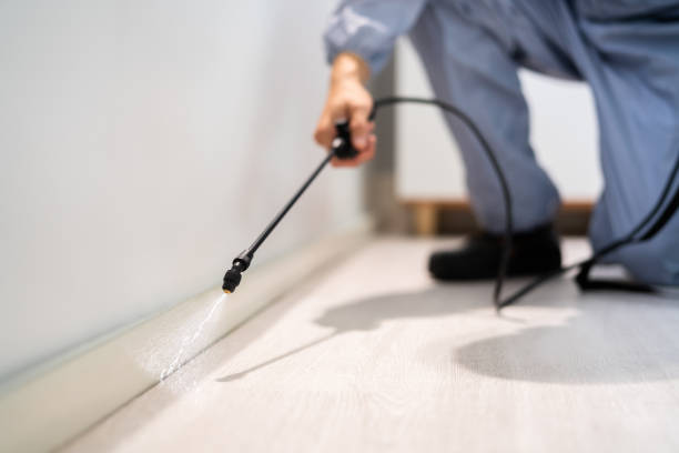 Bed Bug Pre-Treatment Preparation Assessment in Bokeelia