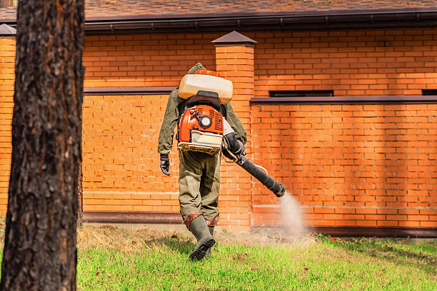 Bed Bug Clearance Verification and Documentation in Bokeelia
